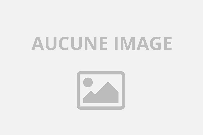 nikittali offre des servive adulte